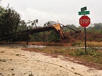 A tree snapped by severe thunderstorm wind gusts near Lee in Madison County, FL on November 17, 2014.