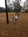A power pole snapped by severe thunderstorm wind gusts near Lee in Madison County, FL on November 17, 2014.