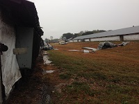 A chicken coop damaged by severe thunderstorm wind gusts near Lee in Madison County, FL on November 17, 2014.