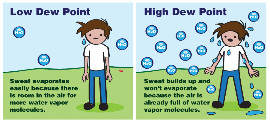 Sweat and Dew Point relationship
