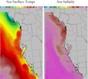 Current Sea Temps and Salinity