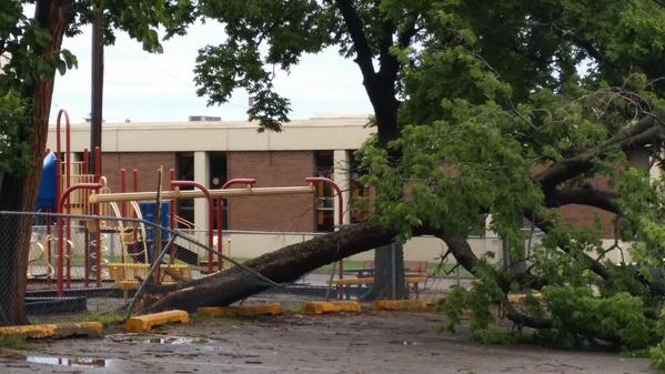 Tree Damage at Topeka YMCA. Courtesy Douglas Watson