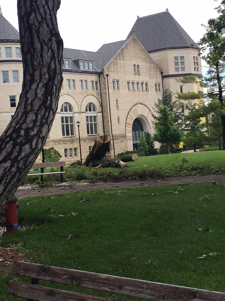 Tree Damage on KSU Campus. Courtesy Joe Koehle