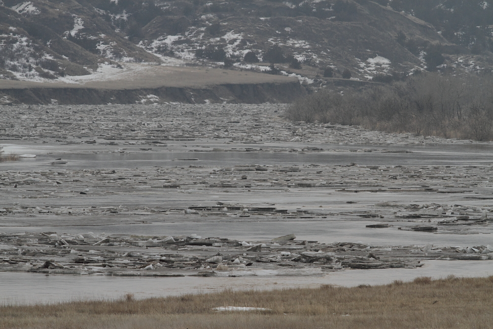 White River near Highway 83