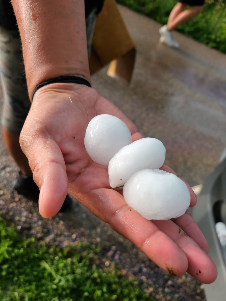 Three hailstones up to baseball size in a hand