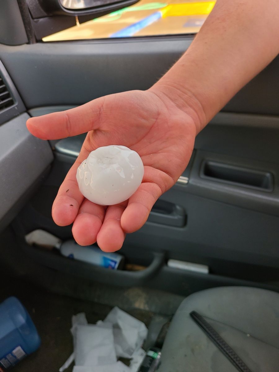 One baseball size hailstone in a hand
