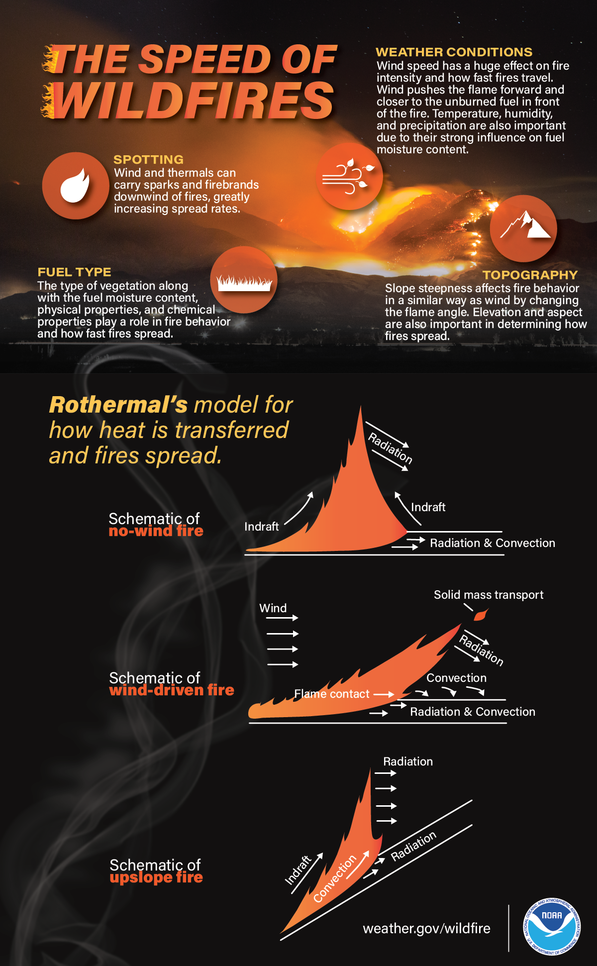 Wildfire Infographics