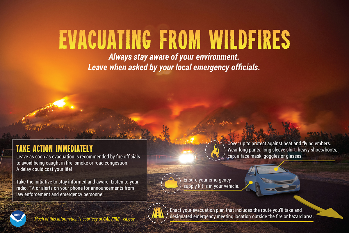 Wildfire Infographics