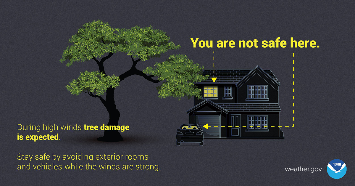 What wind speeds and gusts can usually damage houses or trees? - Earth  Science Stack Exchange