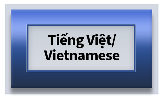 Â VietnameseÂ Infographics